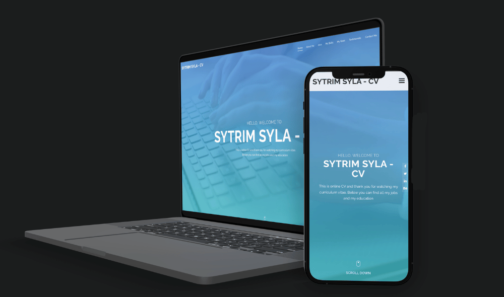 Sytrim Syla CV | Portfolio